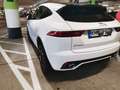 Jaguar E-Pace E-Pace D180 AWD R dynamic Weiß - thumbnail 3