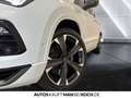 CUPRA Ateca 2.0 TSI 4Drive NAV PANO 360 eSITZE AHK DCC Weiß - thumbnail 16