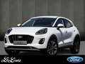 Ford Puma Hybrid 360 Gra Kamera Titanium Ganzjahresreifen Wit - thumbnail 1