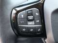 Ford Puma Hybrid 360 Gra Kamera Titanium Ganzjahresreifen Wit - thumbnail 15