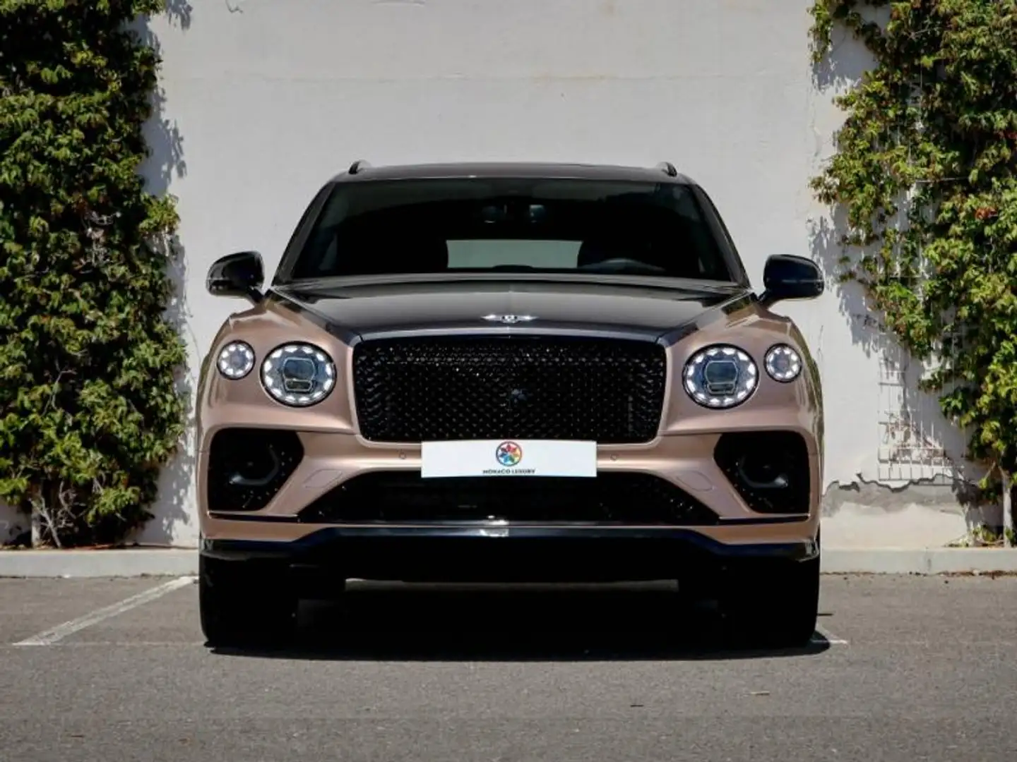 Bentley Bentayga S V8 4.0 550ch Argintiu - 2