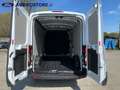 Ford transit 330 2.0 tdci MHEV 130cv trend L3H2 E6.2 Bianco - thumbnail 14