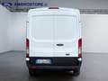 Ford transit 330 2.0 tdci MHEV 130cv trend L3H2 E6.2 Bianco - thumbnail 6