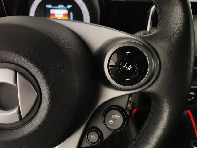 Smart Forfour view 15