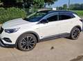 Opel Grandland X Grandland X Plug-in-Hybrid 1.6 Wit - thumbnail 1
