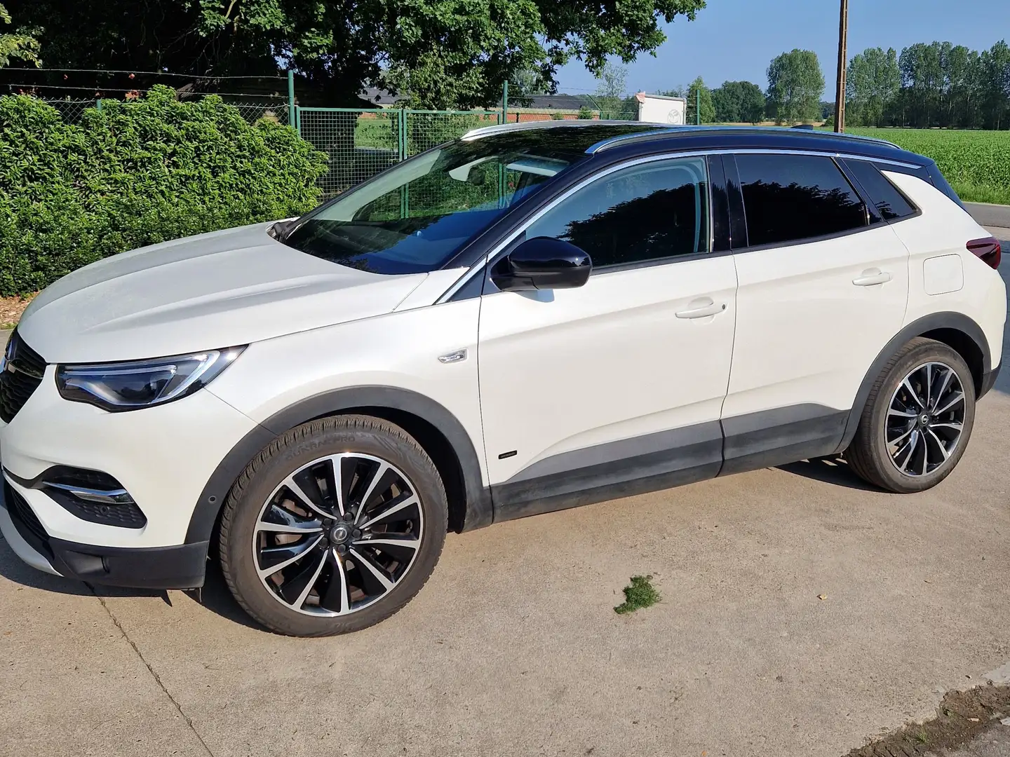Opel Grandland X Grandland X Plug-in-Hybrid 1.6 Wit - 1