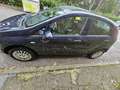 Fiat Punto Punto III 2012 5p 1.4 natural power Lounge 70cv E6 - thumbnail 8