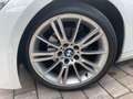 BMW 320 320d DPF Cabrio M Sport Edition Weiß - thumbnail 20