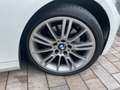BMW 320 320d DPF Cabrio M Sport Edition Weiß - thumbnail 19