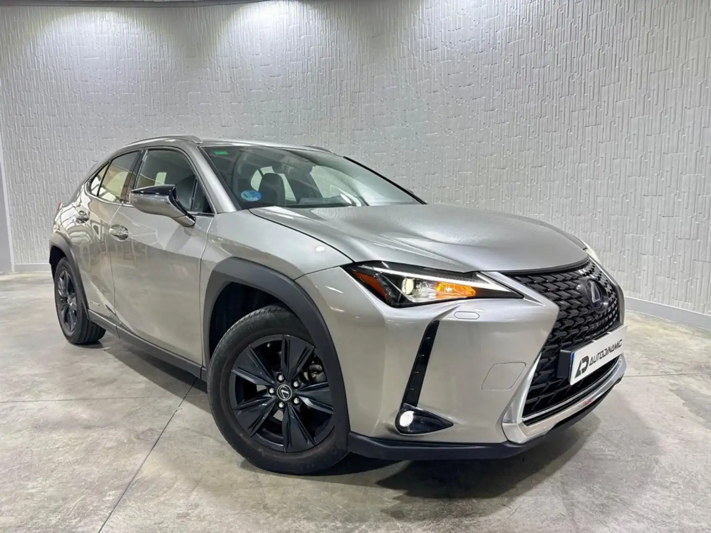 Lexus UX 250h Business 2WD Gris - 2