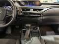 Lexus UX 250h Business 2WD Gris - thumbnail 11