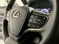 Lexus UX 250h Business 2WD Gris - thumbnail 30