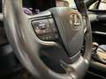 Lexus UX 250h Business 2WD Gris - thumbnail 13