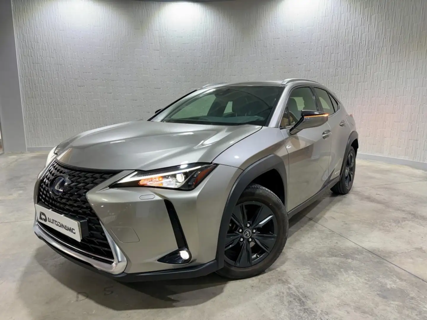 Lexus UX 250h Business 2WD Gris - 1