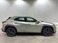 Lexus UX 250h Business 2WD Gris - thumbnail 3