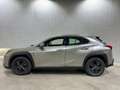 Lexus UX 250h Business 2WD Gris - thumbnail 4
