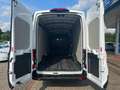 Ford Transit Kasten 350 L4 Trend 2.0 TDCi AHK Dyn. Kurvenlicht Weiß - thumbnail 9