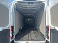 Ford Transit Kasten 350 L4 Trend 2.0 TDCi AHK Dyn. Kurvenlicht Weiß - thumbnail 8