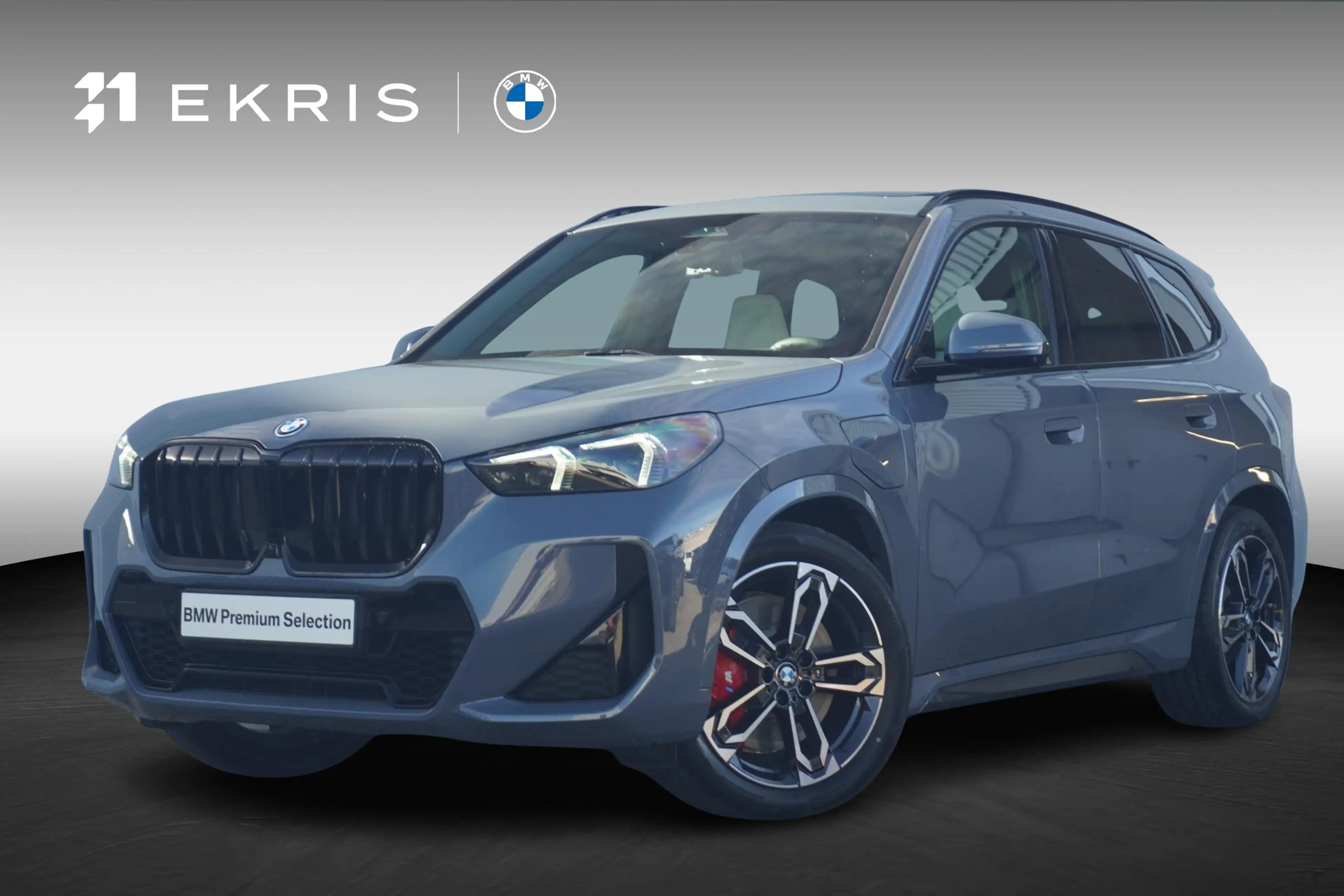 BMW X1 xDrive25e |