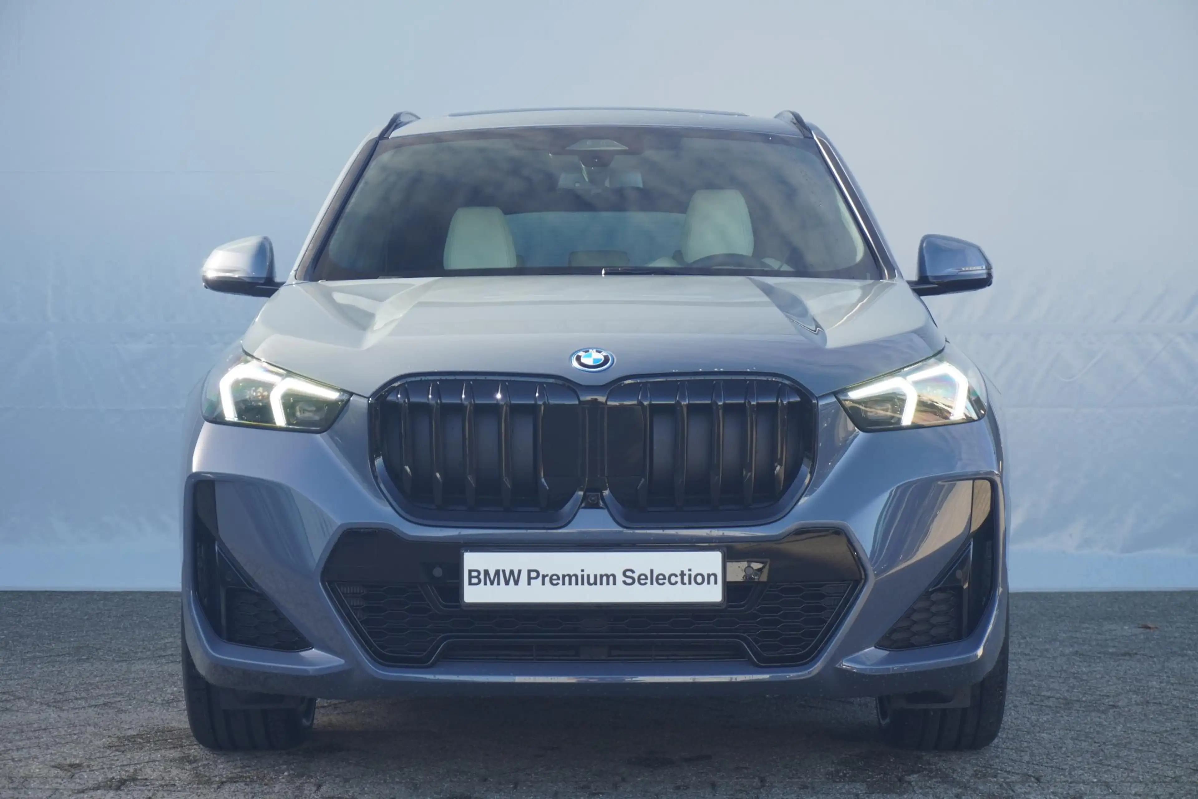BMW X1 xDrive25e | — photo 5