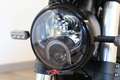 Benelli Leoncino Leoncino 500 (2021 - 25) - thumbnail 11