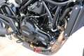 Benelli Leoncino Leoncino 500 (2021 - 25) - thumbnail 12