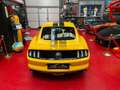 Ford Mustang 2.3 EcoBoost *** VENDUE * SOLDE *** Sarı - thumbnail 9