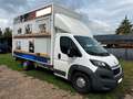 Peugeot Boxer Koffer 435 L4 BlueHDi 130 Cargo Edition Weiß - thumbnail 4