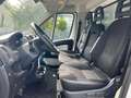 Peugeot Boxer Koffer 435 L4 BlueHDi 130 Cargo Edition Weiß - thumbnail 5