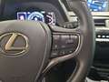 Lexus UX 250h Premium 4WD Grau - thumbnail 15
