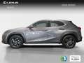 Lexus UX 250h Premium 4WD Grau - thumbnail 3