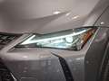 Lexus UX 250h Premium 4WD Grau - thumbnail 23