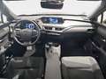 Lexus UX 250h Premium 4WD Grau - thumbnail 12
