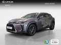 Lexus UX 250h Premium 4WD Grau - thumbnail 1