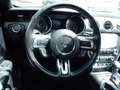 Ford Mustang 3,7 V6 Shelby Look Slovenia - thumbnail 14