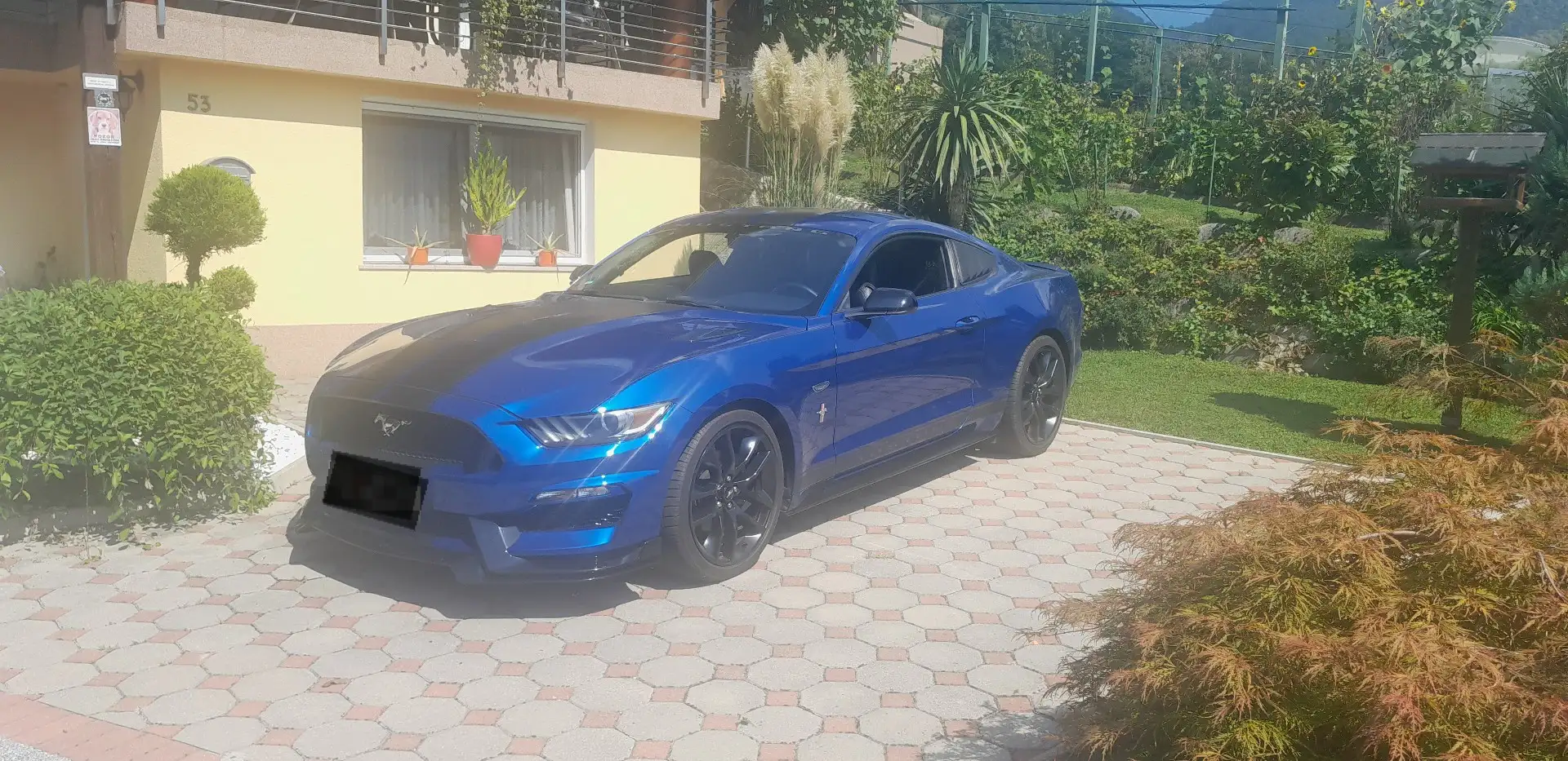 Ford Mustang 3,7 V6 Shelby Look Slovenia - 2