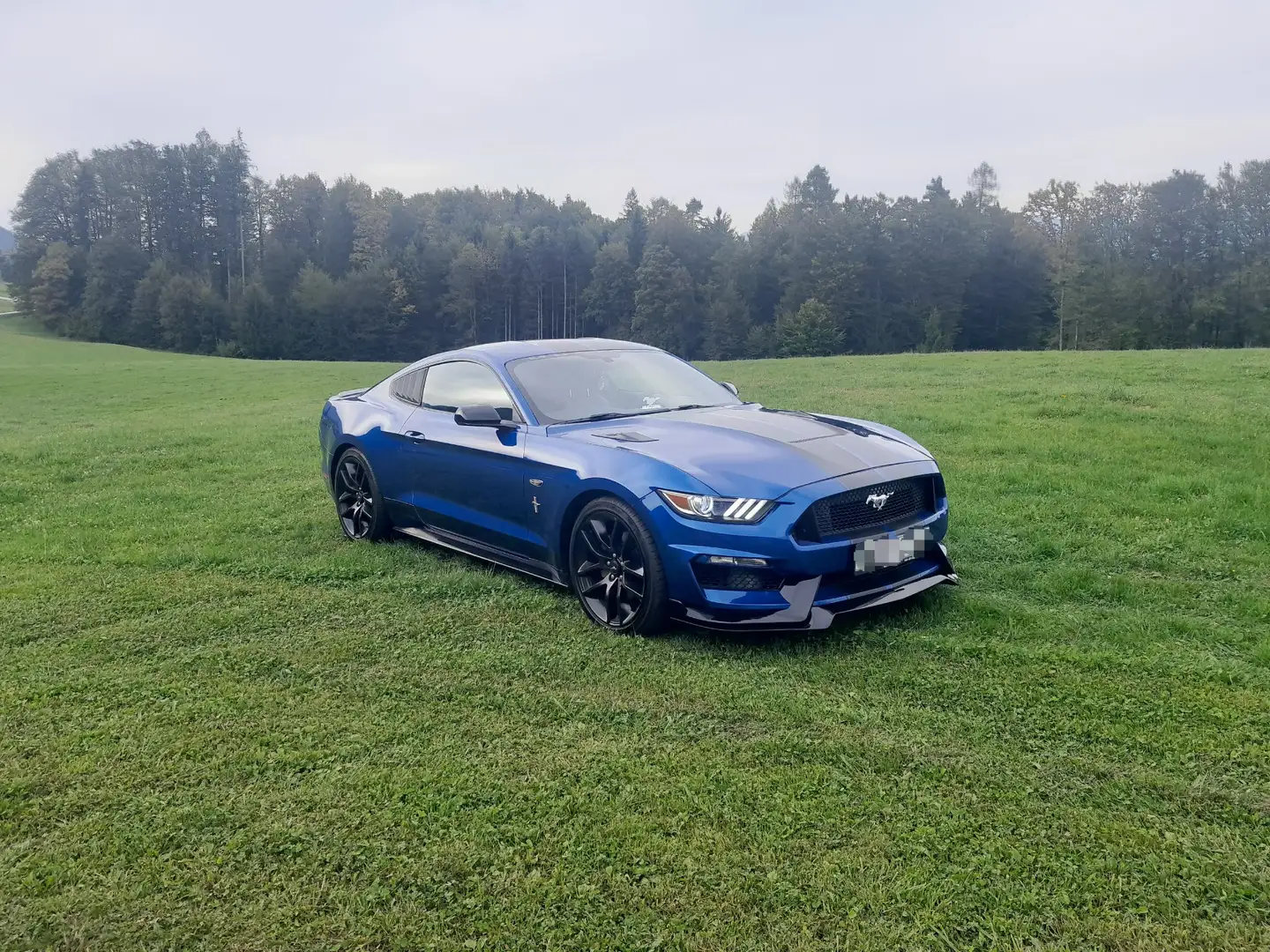 Ford Mustang 3,7 V6 Shelby Look Slovenia - 1