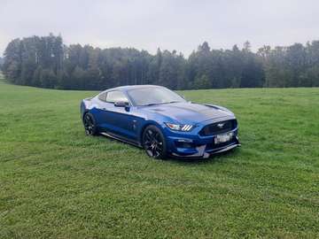 3,7 V6 Shelby Look Slovenia