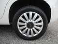 Fiat 500L 0.9 TwinAir Turbo Natural Power - OK NEOPATENTATI Bianco - thumbnail 15