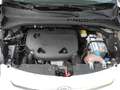 Fiat 500L 0.9 TwinAir Turbo Natural Power - OK NEOPATENTATI Bianco - thumbnail 14