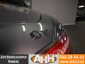 Mercedes-Benz AMG GT ROADSTAR KAM|AIRSCARF|VZE|LED|IHC|19TKM!! Grau - thumbnail 27