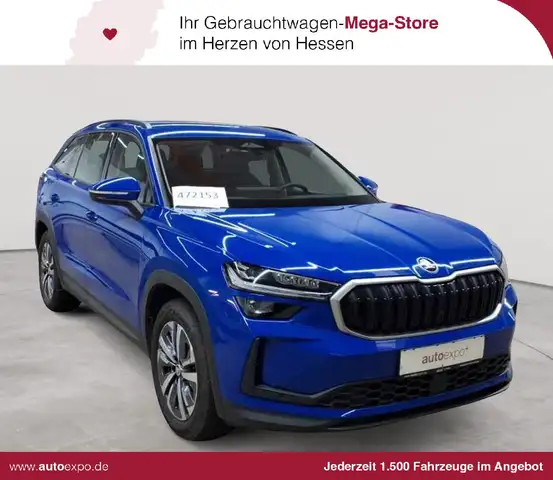 2024 Skoda Kodiaq in Blue for sale