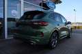 Ford Kuga ST-Line X FHEV NEUE MODELL 2,5l Duratec 4x4 Grün - thumbnail 8