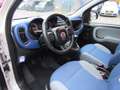 Fiat Panda TwinAir Turbo 80PK Lounge Bruin - thumbnail 9