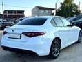 Alfa Romeo Giulia 2.2 T Business Bianco - thumbnail 2