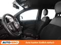 Fiat Panda 1.0 Mild-Hybrid Sport Grau - thumbnail 10