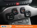 Fiat Panda 1.0 Mild-Hybrid Sport Grau - thumbnail 23