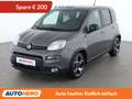 Fiat Panda 1.0 Mild-Hybrid Sport Grau - thumbnail 1