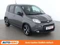 Fiat Panda 1.0 Mild-Hybrid Sport Grau - thumbnail 8