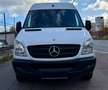 Mercedes-Benz Sprinter II Kasten 213 CDI / HOCH & LANG/TÜV NEU Weiß - thumbnail 9